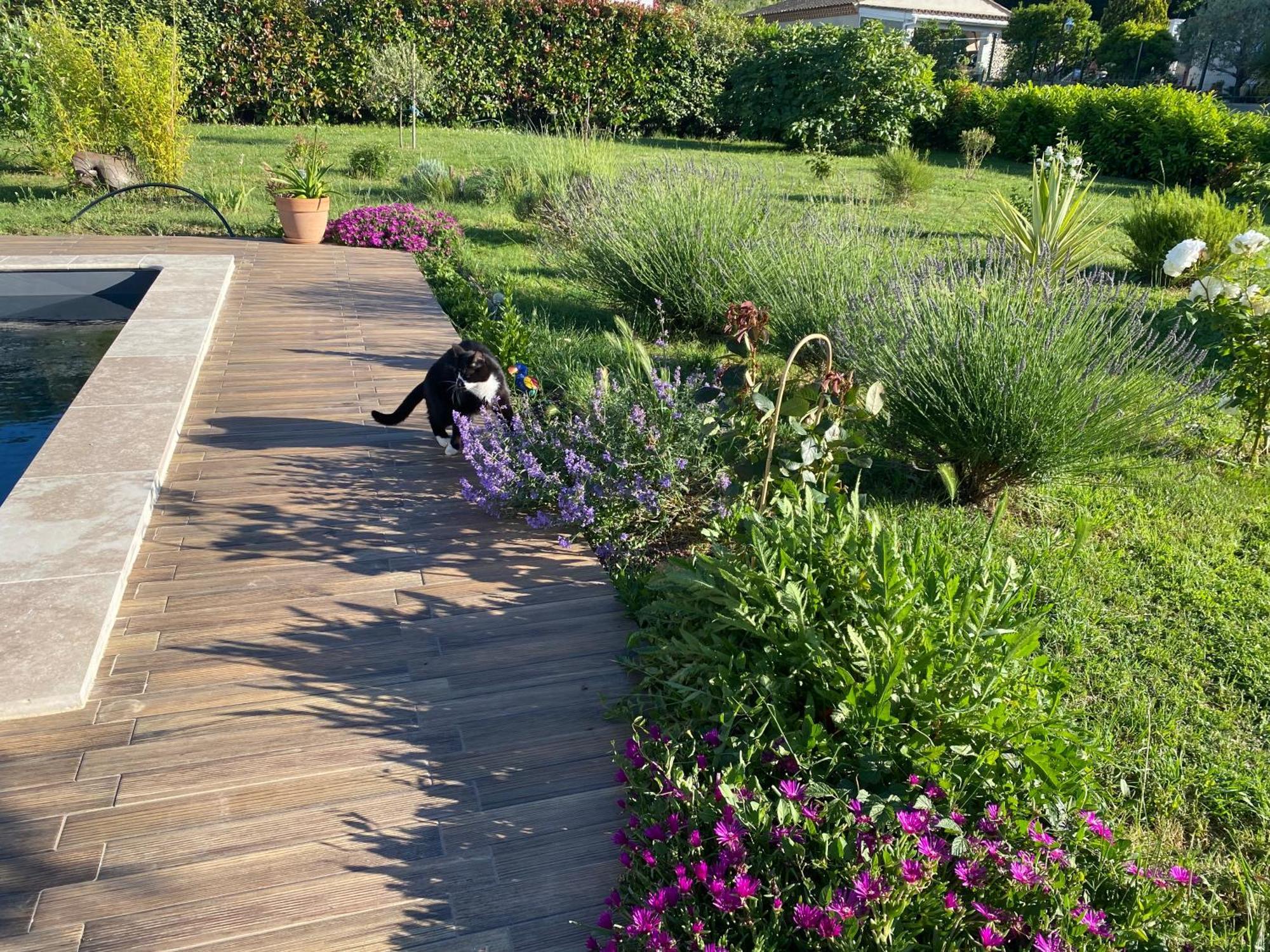 Bed and Breakfast La Rosela De La Cite Palaja Zewnętrze zdjęcie